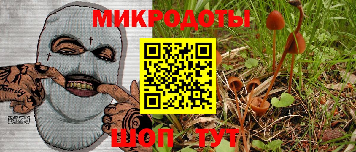 Псилоцибиновые грибы Psilocybine cubensis Рязань